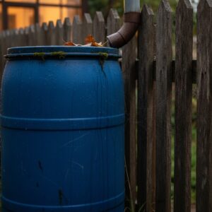 Esővízgyűjtés a kertben – jogszabály, hordó, öntözés